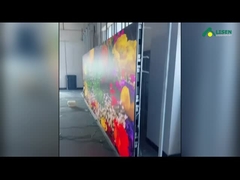 ESCUPA la pantalla LED fina de la echada del pixel